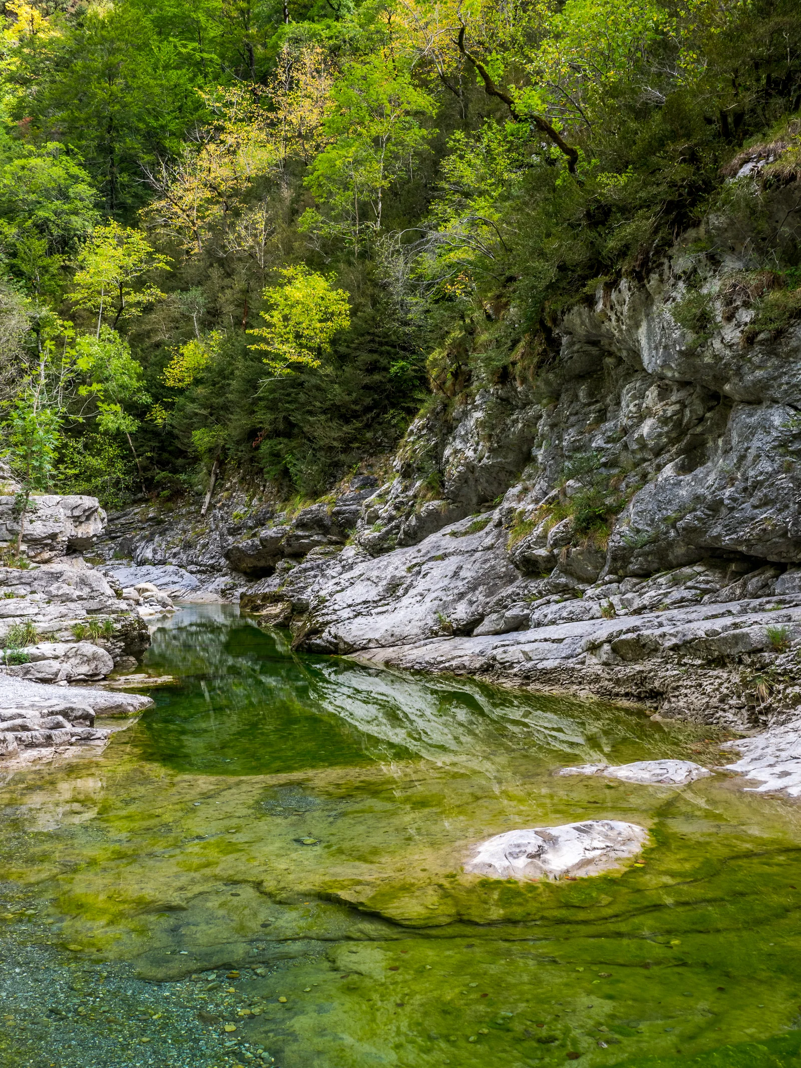 Cañón de Añisclo, garganta caliza profunda en Ordesa y Monte Perdido