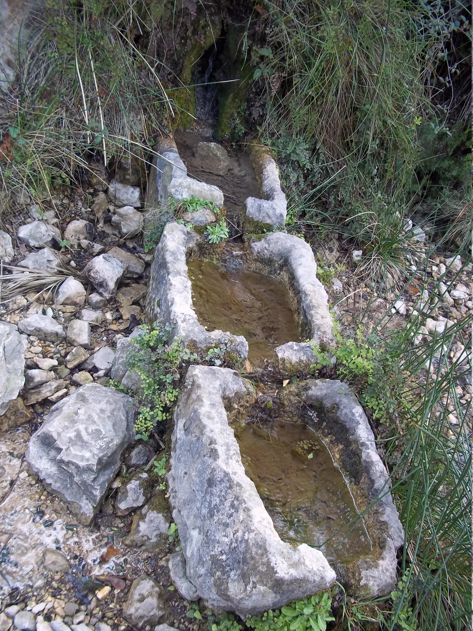 Font de Reinós en el Barranc de l'Infern, la Vall de Laguar