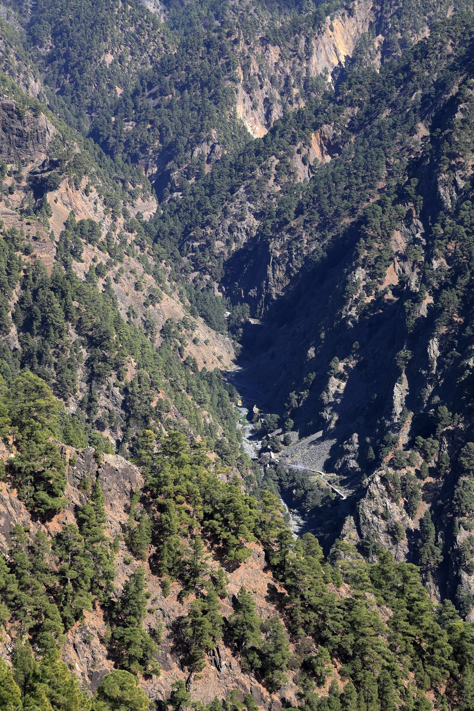 Dos Aguas, la confluencia donde se juntan el agua rojiza del Barranco de Taburiente y la transparente del Barranco de Almendro Amargo