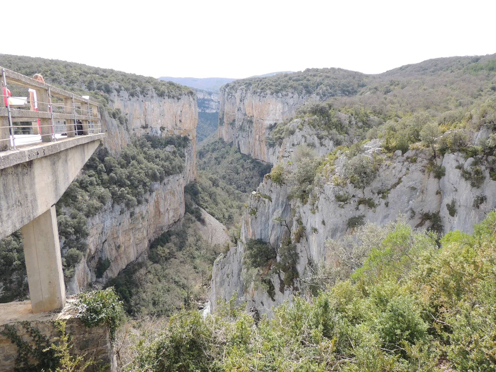La Foz de Arbayún en primavera con la vegetación verde y las paredes del cañón