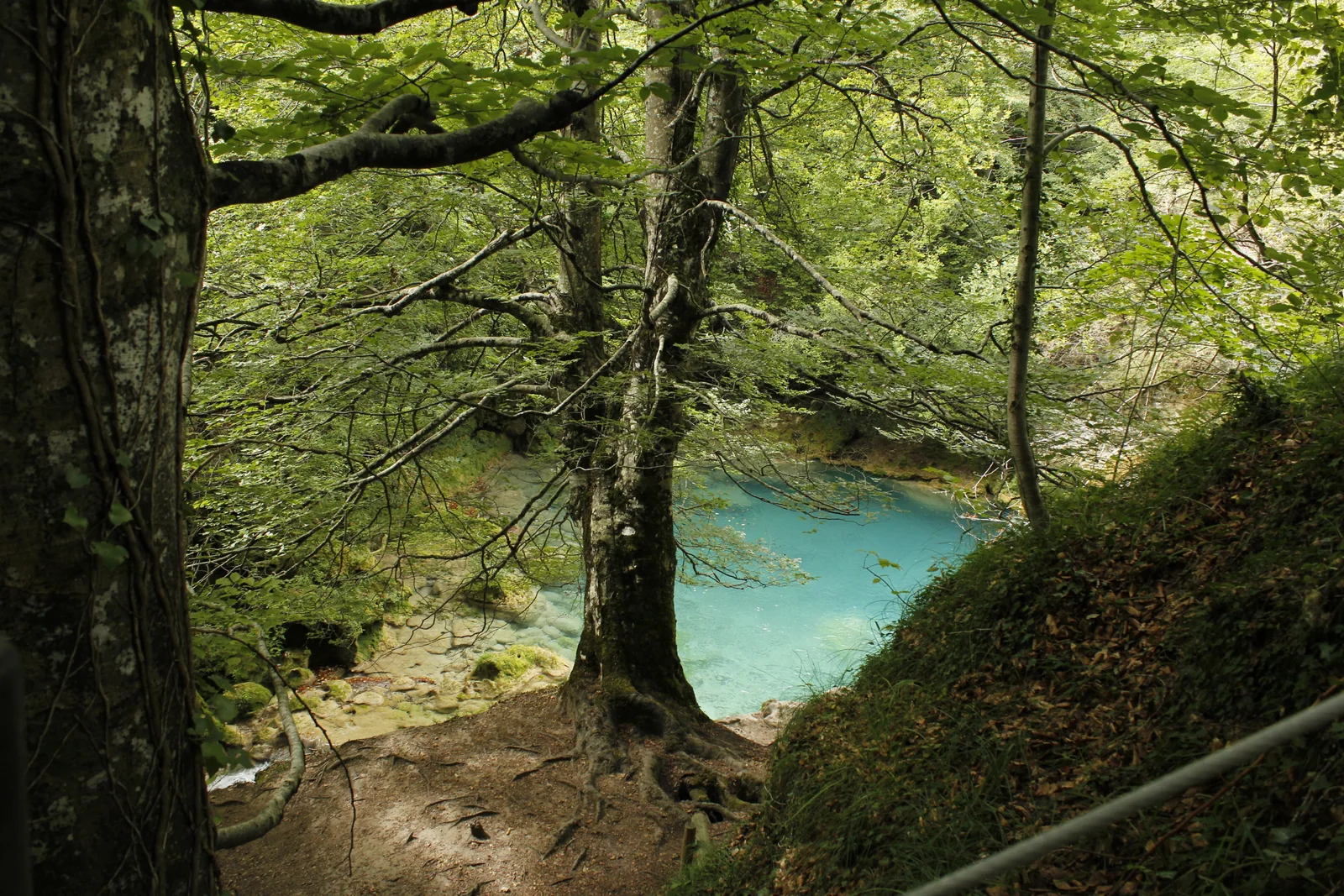 Poza turquesa en el camino al Nacedero del Urederra, Urbasa, Navarra