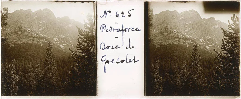 El bosque de Gresolet a los pies del Pedraforca, por donde arranca la ruta desde el mirador