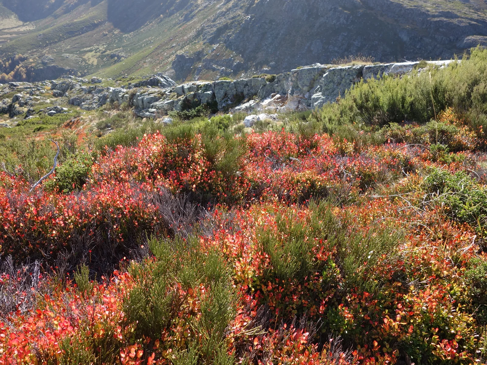 Ascenso por el cordal de la Serra do Eixe hacia Peña Trevinca, terreno de alta montaña abierto y sin balizar