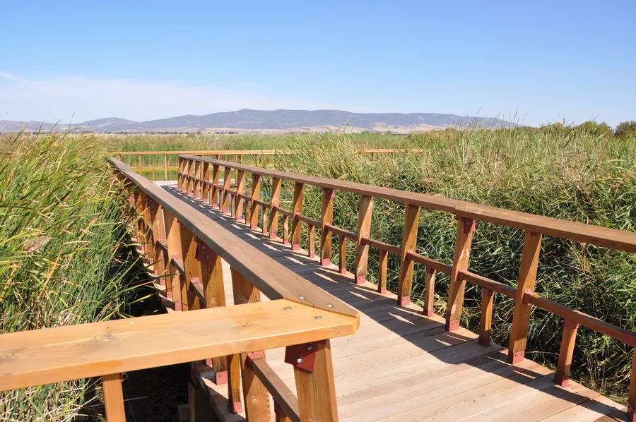 Pasarelas de madera sobre el masegar del Parque Nacional de las Tablas de Daimiel