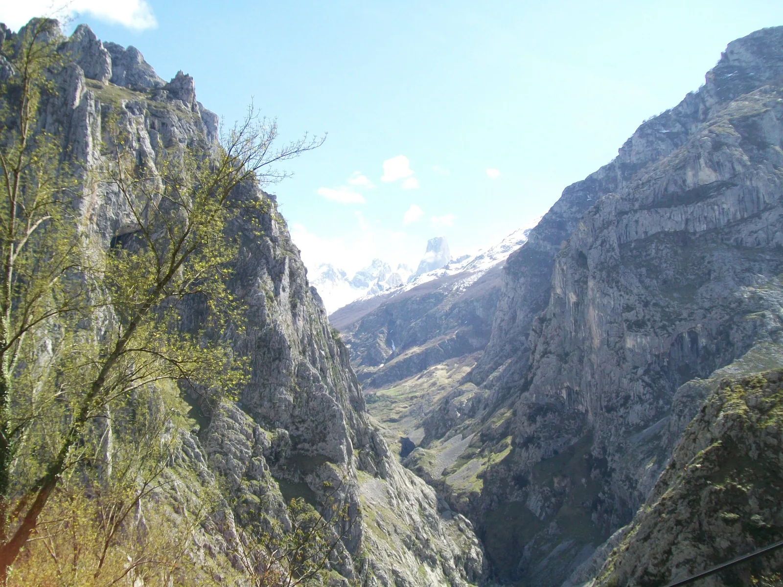 Picu Urriellu desde el mirador de Camarmeña